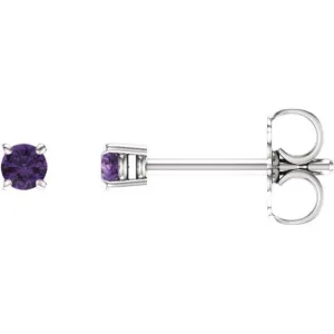 14K White 2.5 mm Natural Amethyst Stud Earrings with Friction Post