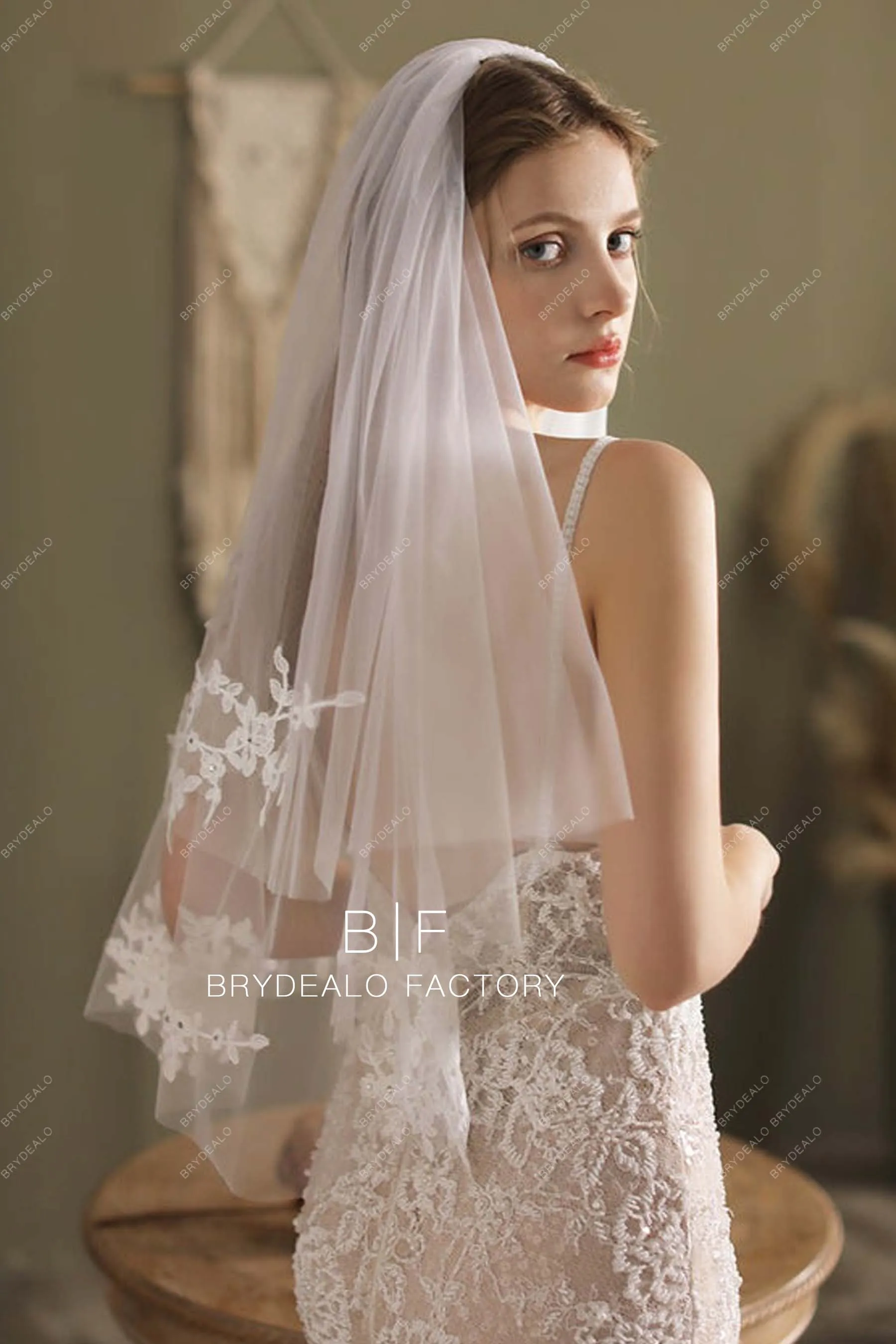 Elbow Length Wedding Veil Two-Tiered Lace Bridal Veil