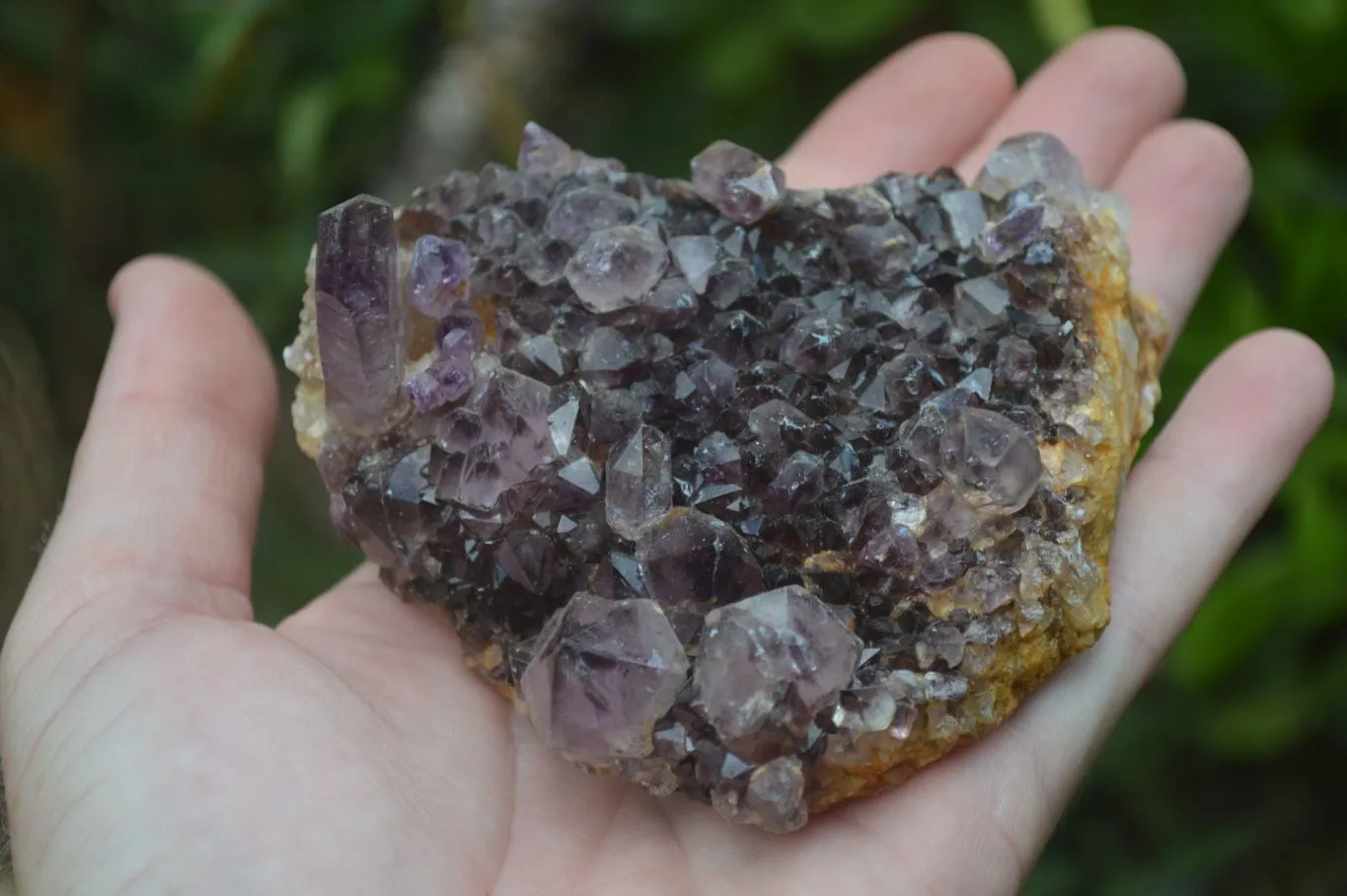 Hand Made Natural Conglomerate Amethyst Clusters x 6 From Chiredzi, Zimbabwe