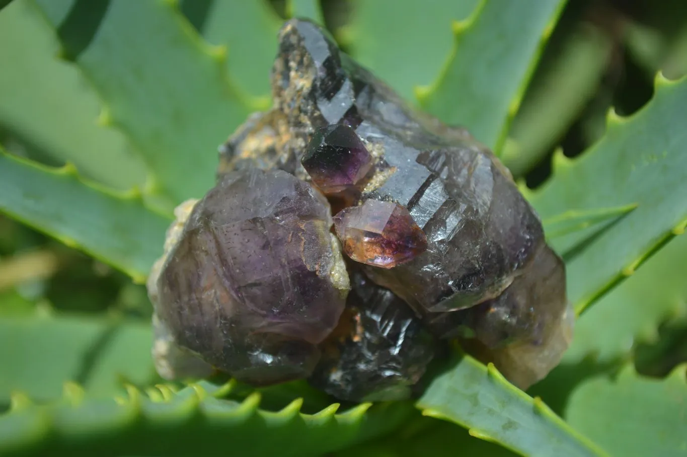 Hand Made Natural Conglomerate Amethyst Clusters x 6 From Chiredzi, Zimbabwe