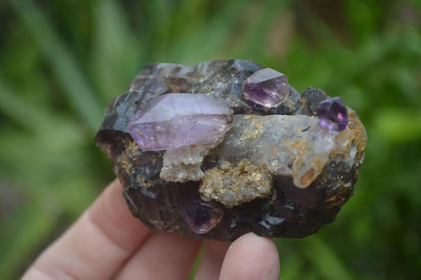 Hand Made Natural Conglomerate Amethyst Clusters x 6 From Chiredzi, Zimbabwe