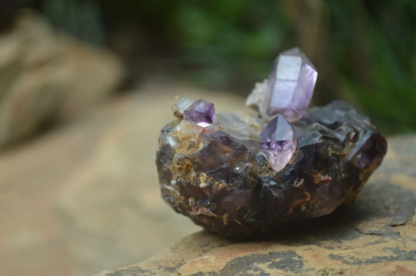 Hand Made Natural Conglomerate Amethyst Clusters x 6 From Chiredzi, Zimbabwe