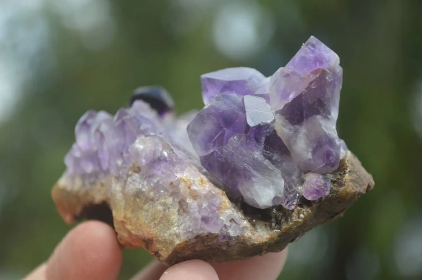 Hand Made Natural Conglomerate Amethyst Clusters x 6 From Chiredzi, Zimbabwe