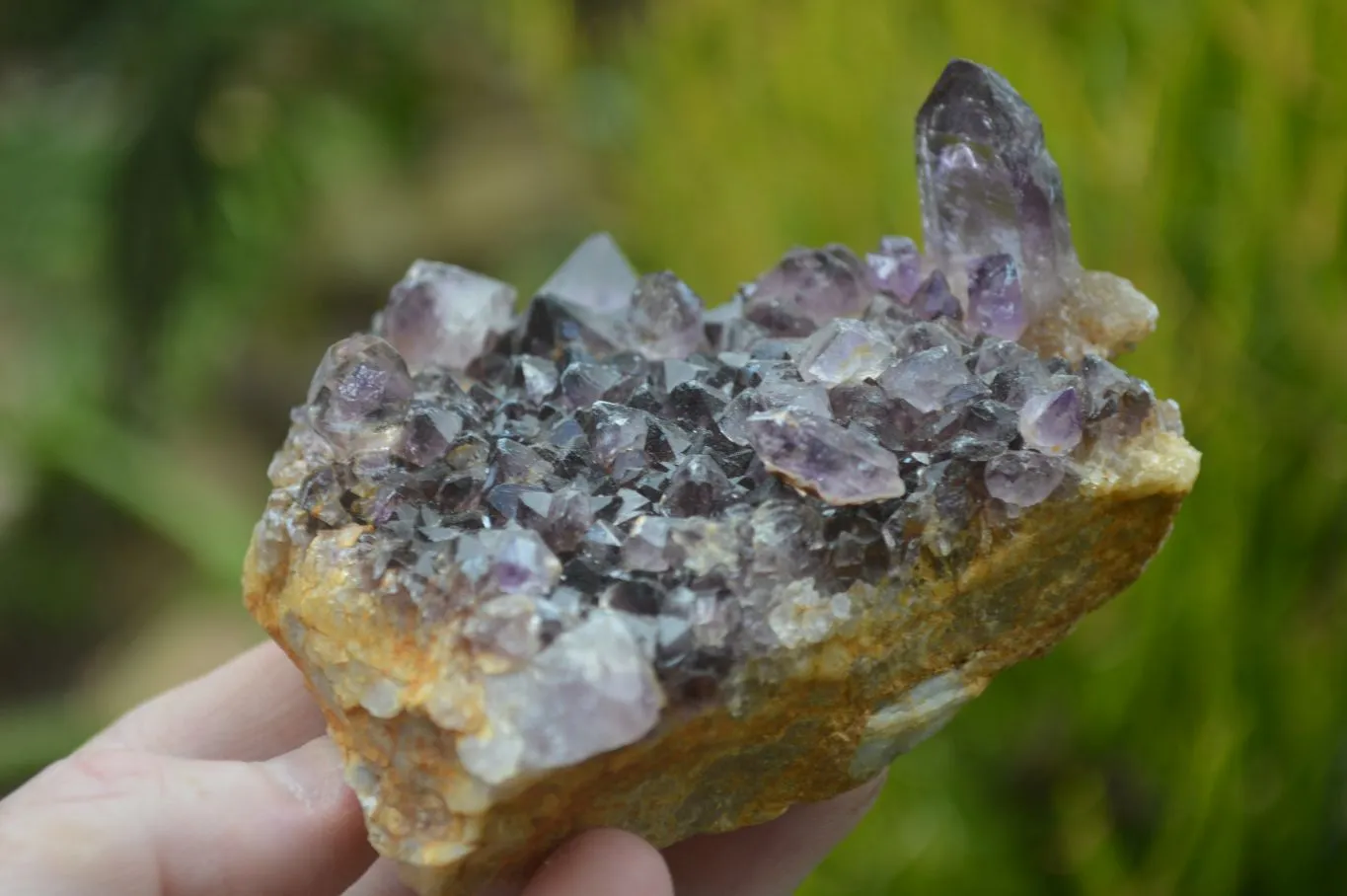 Hand Made Natural Conglomerate Amethyst Clusters x 6 From Chiredzi, Zimbabwe