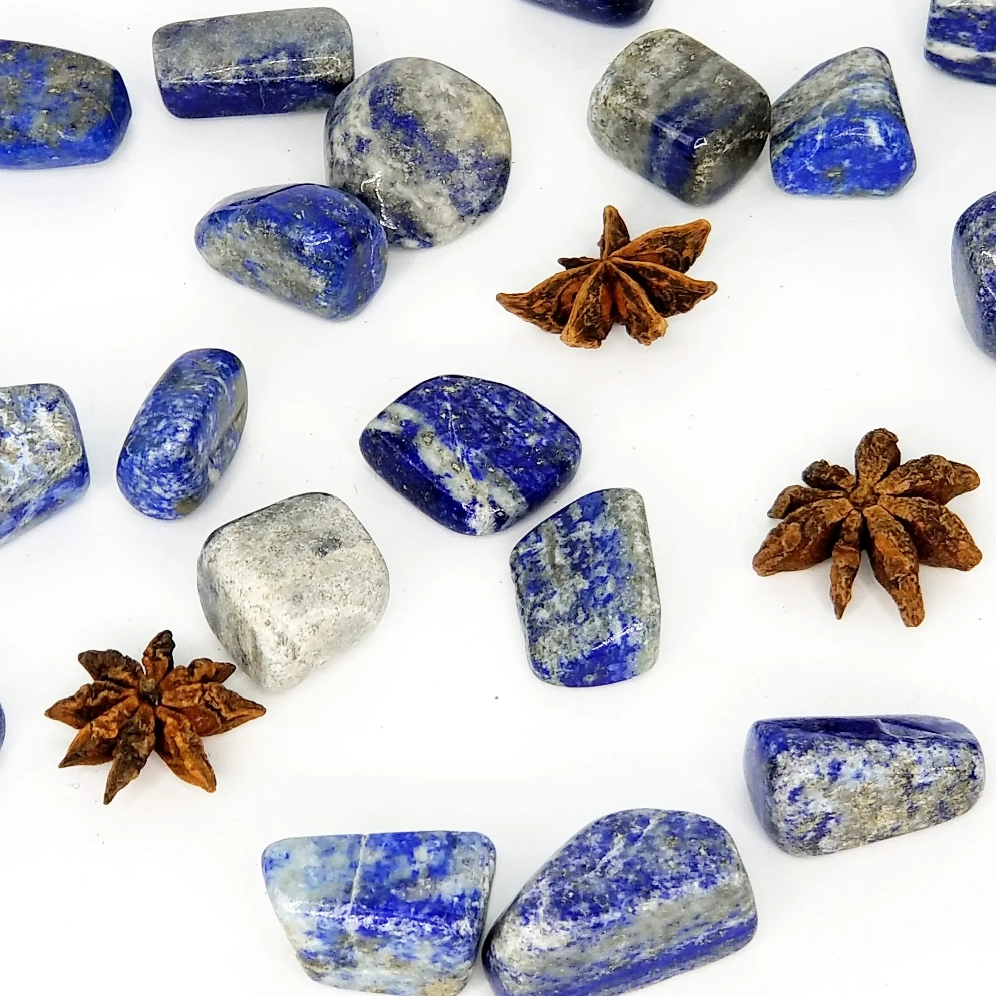 Lapis - Tumbled - High Quality