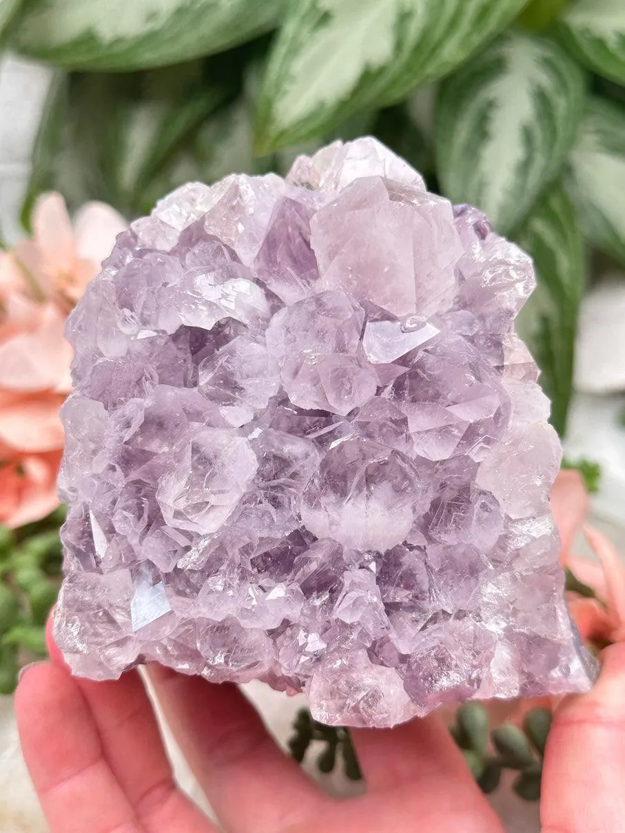 Large Amethyst Calcites