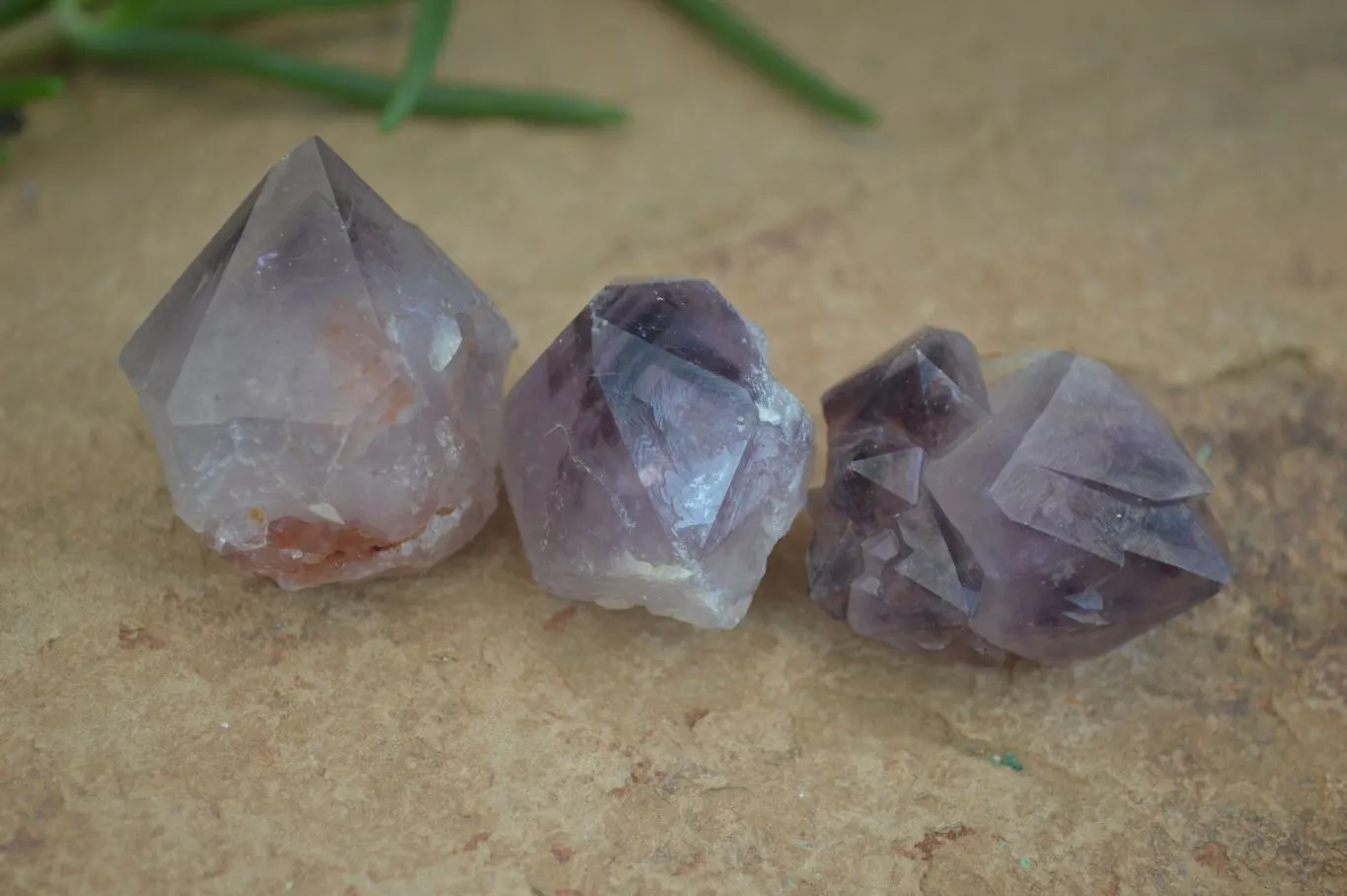 Natural Spirit Amethyst Quartz Crystal Specimens x 35 From Boekenhouthoek, South Africa