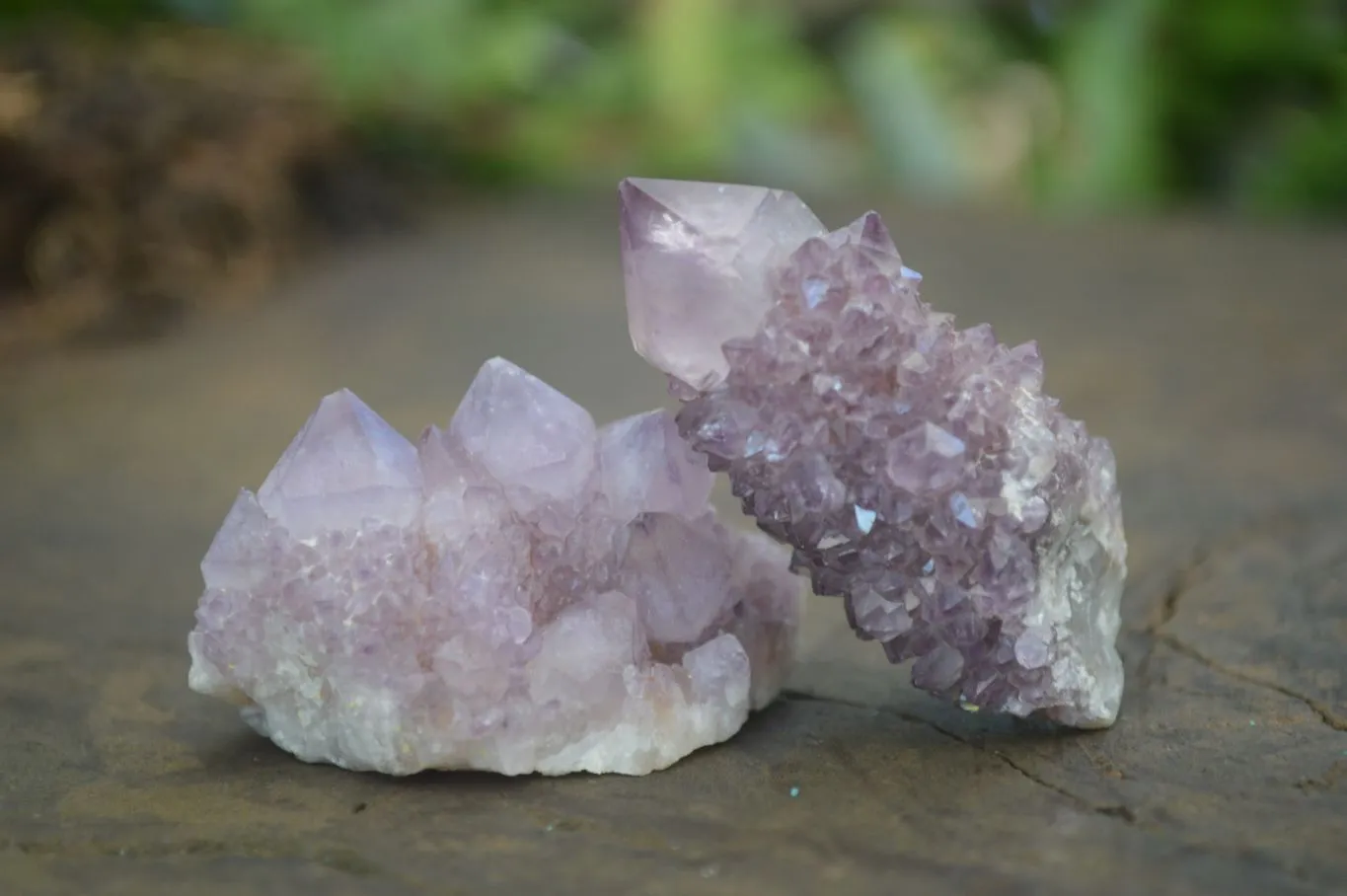 Natural Spirit Amethyst Quartz Crystal Specimens x 35 From Boekenhouthoek, South Africa