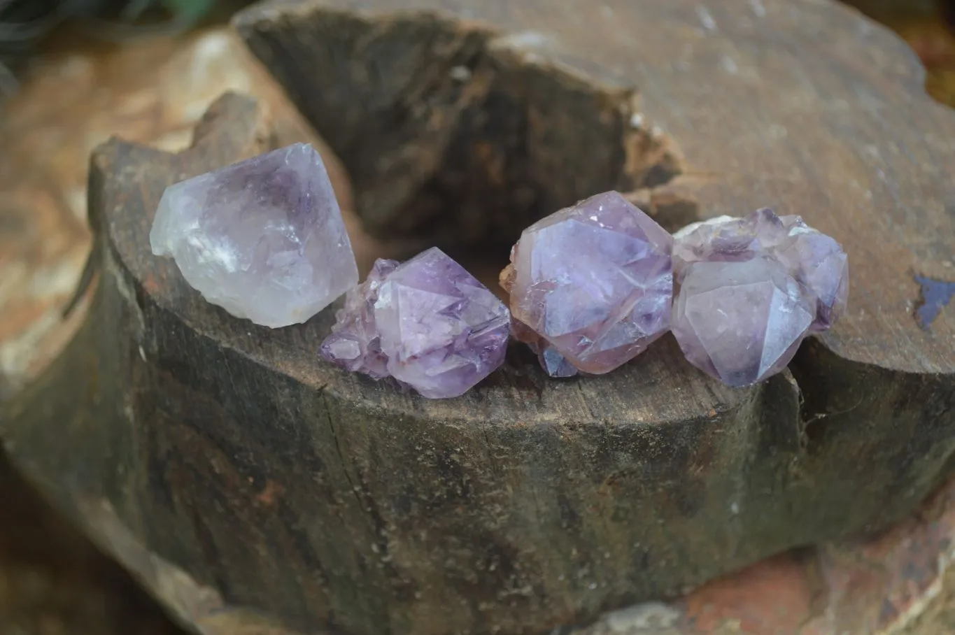 Natural Spirit Amethyst Quartz Crystal Specimens x 35 From Boekenhouthoek, South Africa