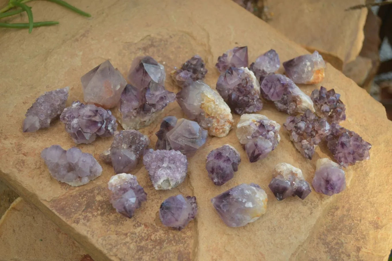 Natural Spirit Amethyst Quartz Crystal Specimens x 35 From Boekenhouthoek, South Africa