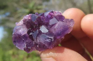 Natural Zululand Amethyst Agate Specimens x 42 from Jozini, South Africa