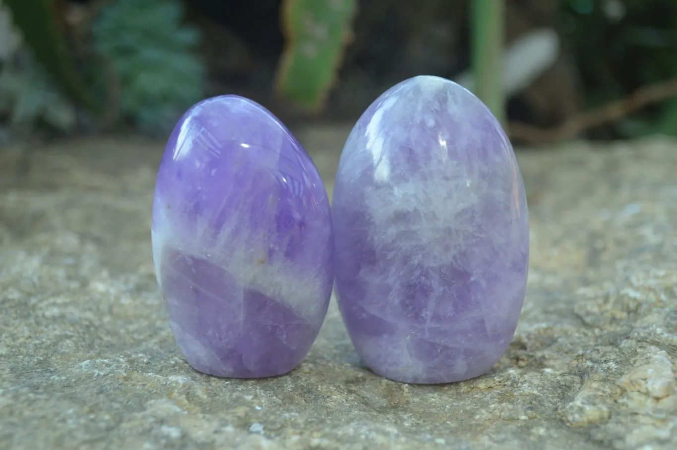 Polished Dream Amethyst Standing Free Forms x 6 From Ambatondrazaka, Madagascar