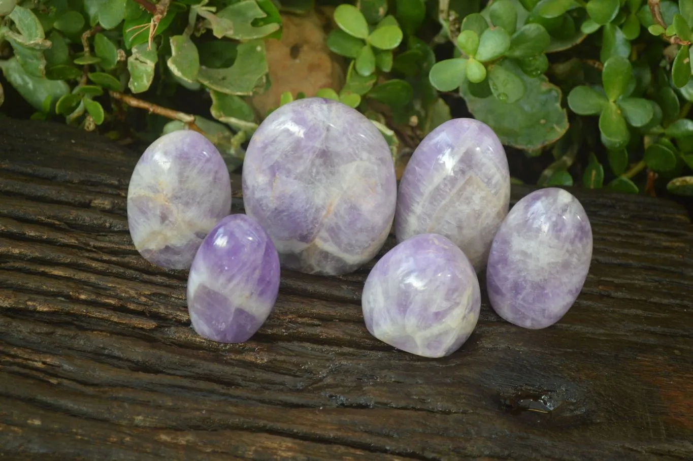 Polished Dream Amethyst Standing Free Forms x 6 From Ambatondrazaka, Madagascar