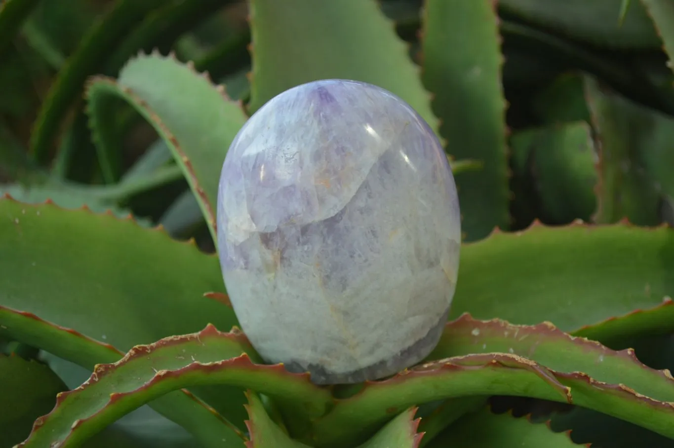 Polished Dream Amethyst Standing Free Forms x 6 From Ambatondrazaka, Madagascar