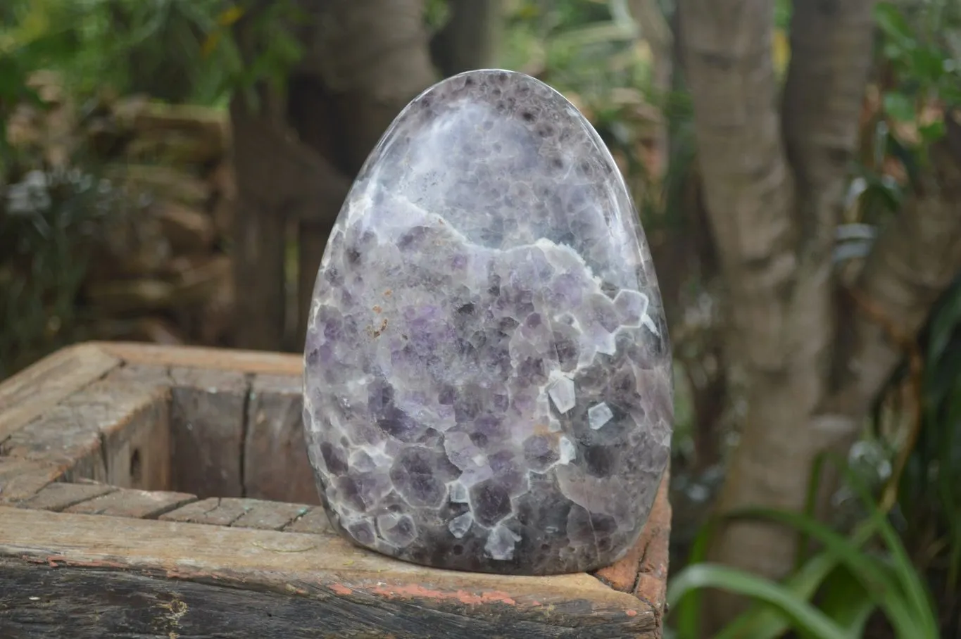 Polished Extra Large Flower Chevron Amethyst Display Piece x 1 From Madagascar