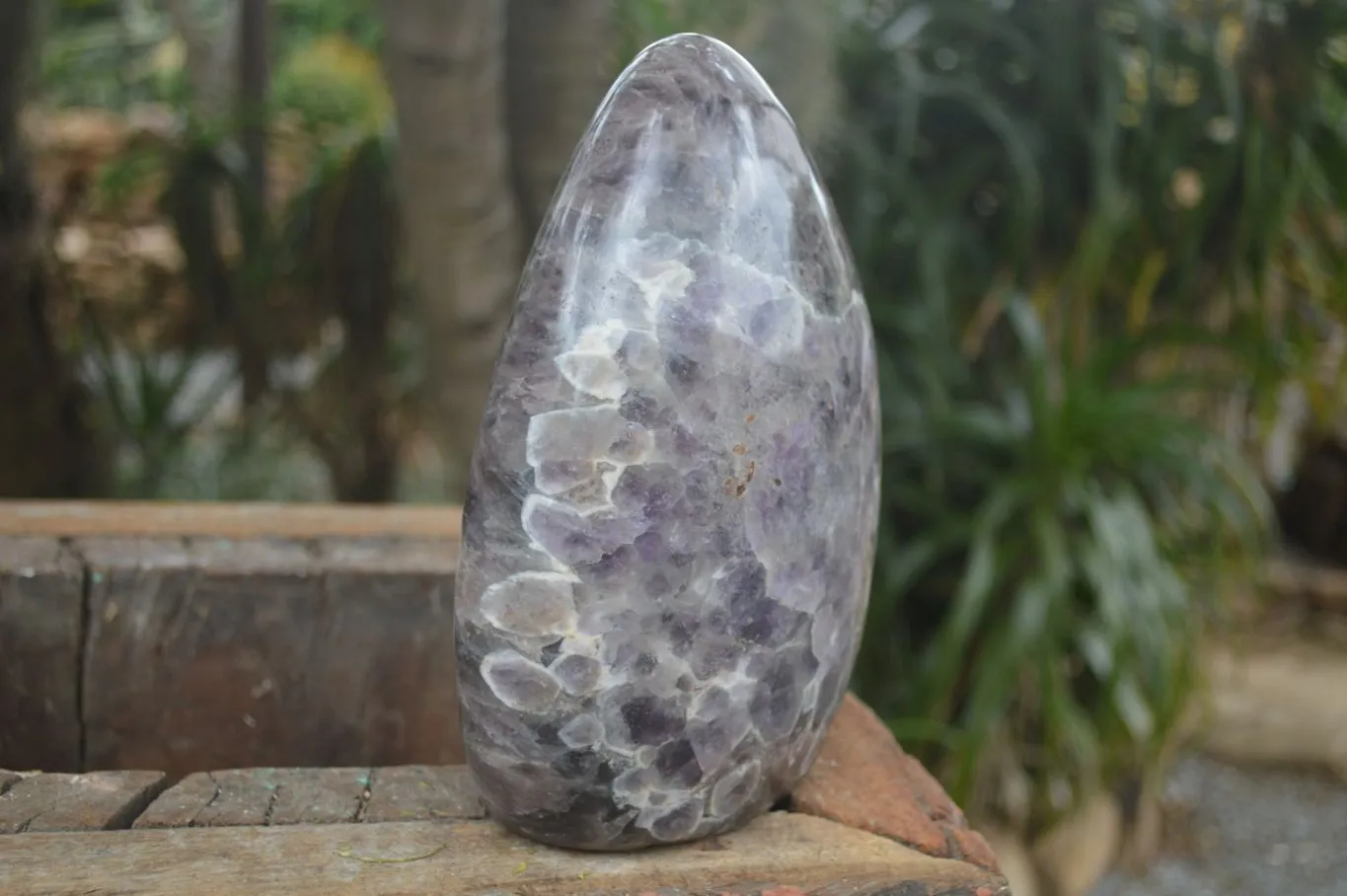 Polished Extra Large Flower Chevron Amethyst Display Piece x 1 From Madagascar