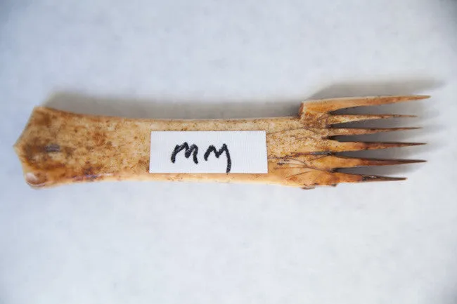 Prehistoric Inuit Comb