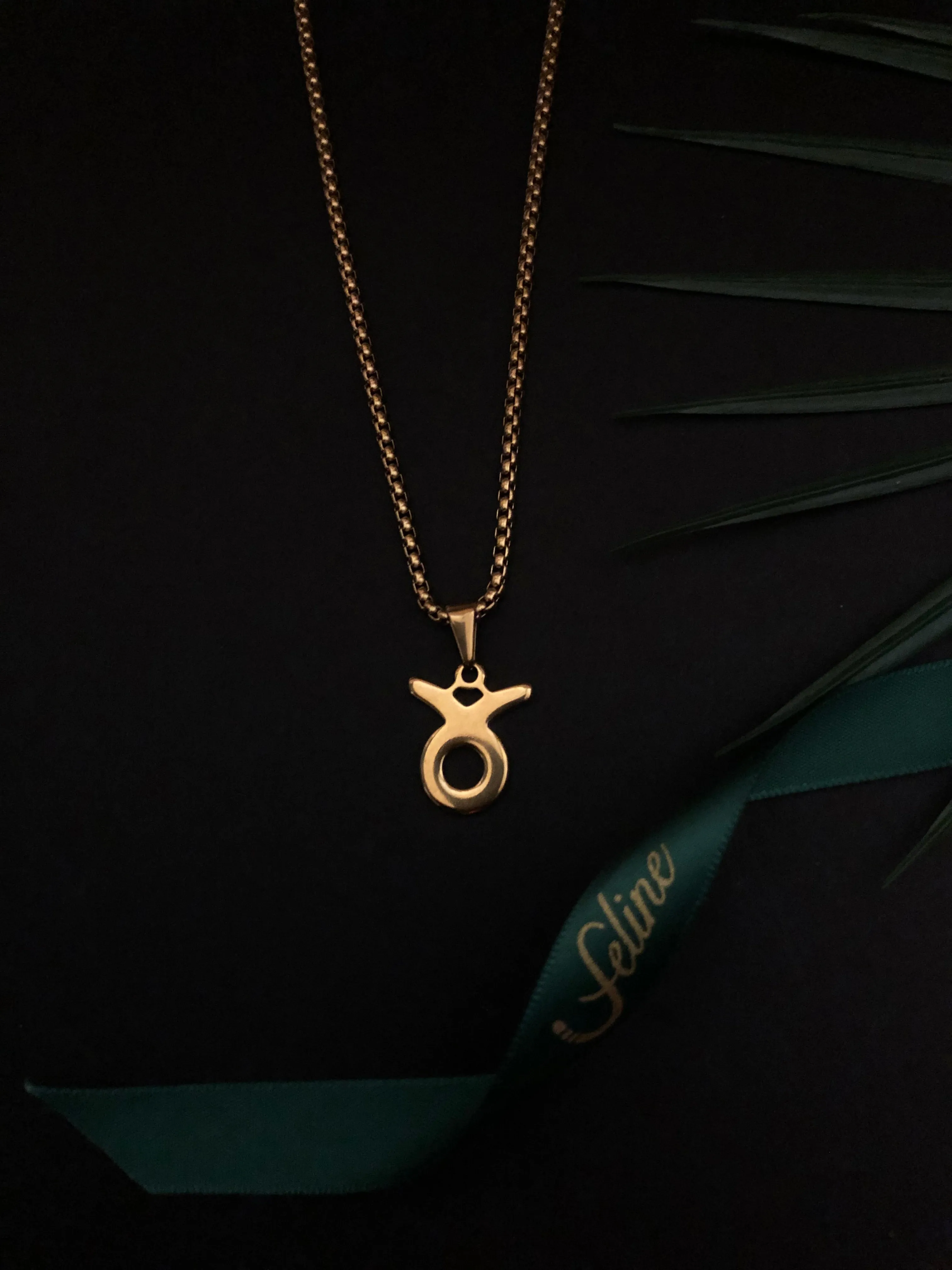 Taurus Flat Horoscope Necklace