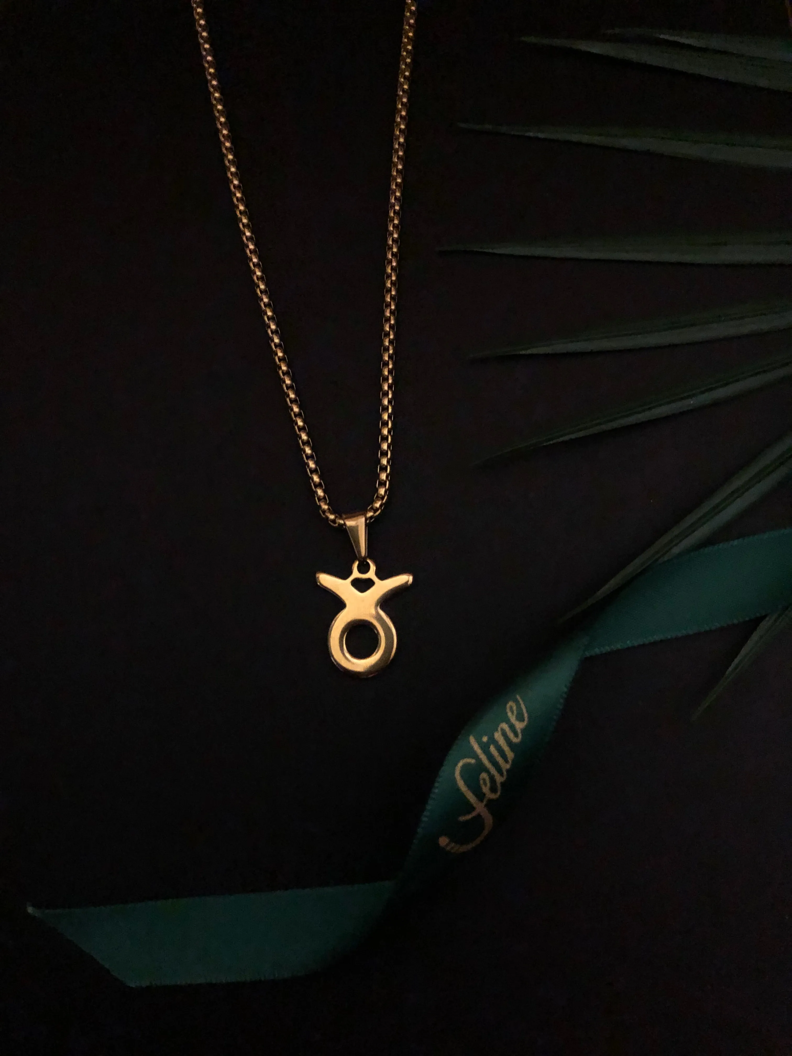 Taurus Flat Horoscope Necklace